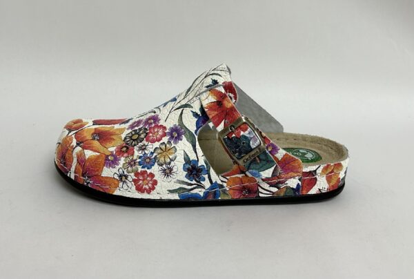Dr Feet - Halley