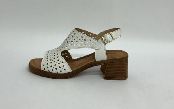 Sundowner - Gisella - White